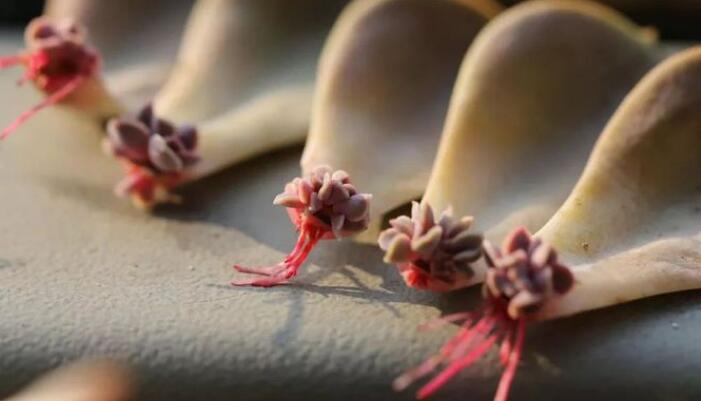 1634116828847409.jpg 1634116828847409.jpg