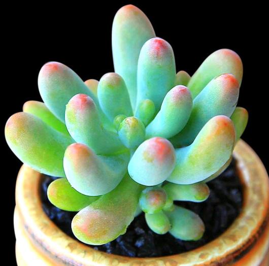 1634031816295465.jpg 1634031816295465.jpg