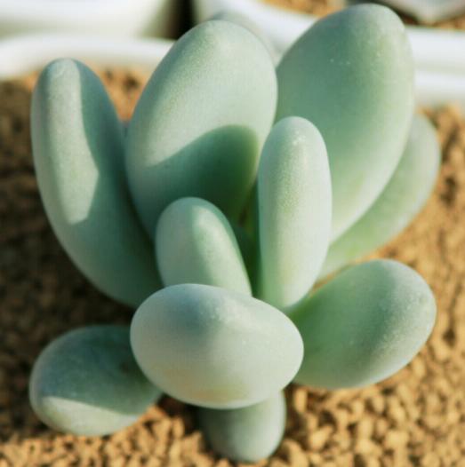 1634032013386960.jpg 1634032013386960.jpg