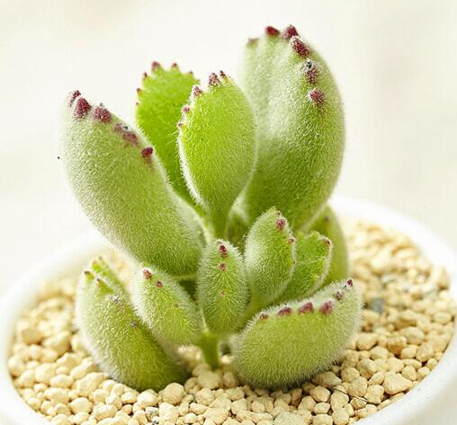 1634031884316618.jpg 1634031884316618.jpg