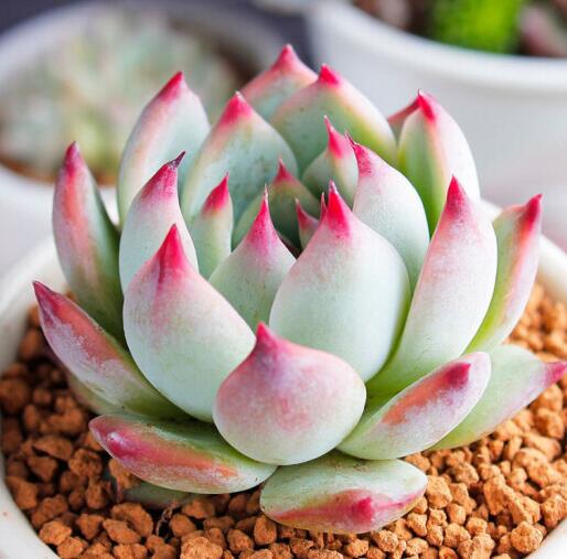 1634031861382084.jpg 1634031861382084.jpg