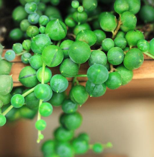 1634032160326229.jpg 1634032160326229.jpg