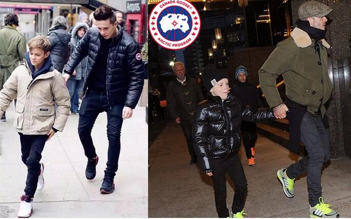 1570613053127059.jpg 1570613053127059.jpg