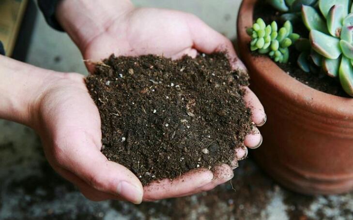 1626244710323434.jpg 1626244710323434.jpg