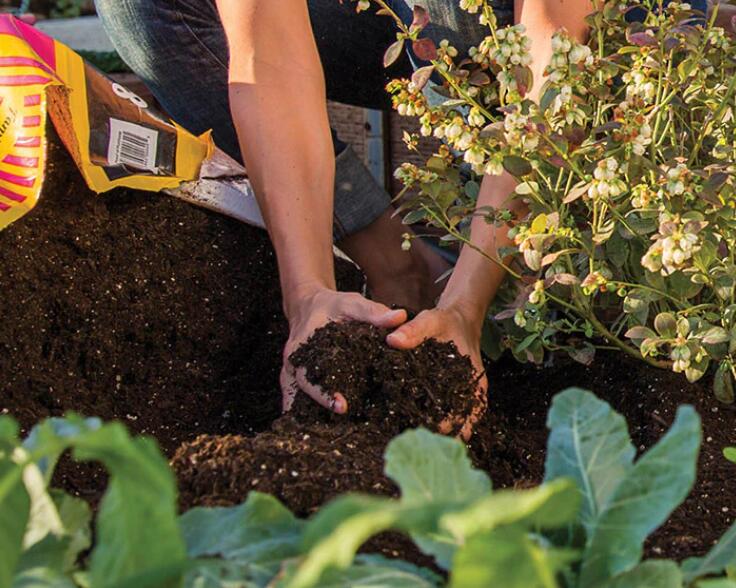 1626245346139133.jpg 1626245346139133.jpg