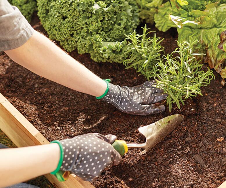 1626245273907667.jpg 1626245273907667.jpg