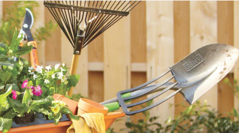 1626245134658227.jpg 1626245134658227.jpg