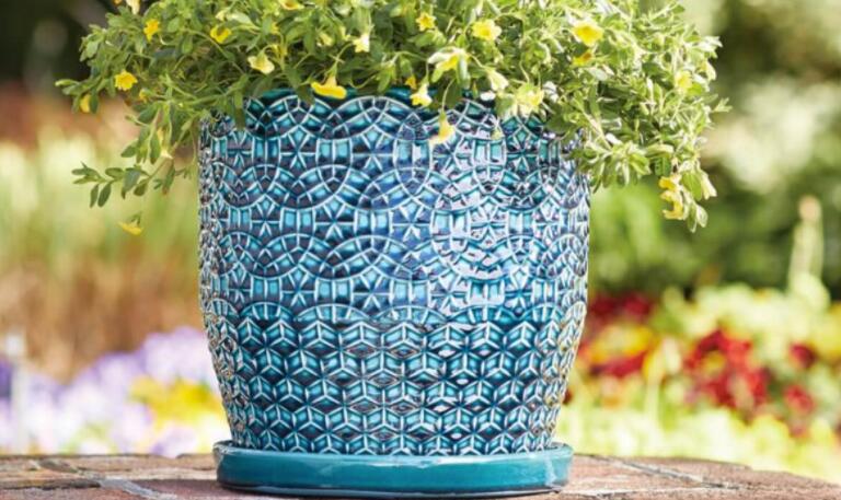 1626245009227421.jpg 1626245009227421.jpg