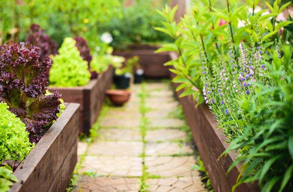 1626249122403047.jpg 1626249122403047.jpg