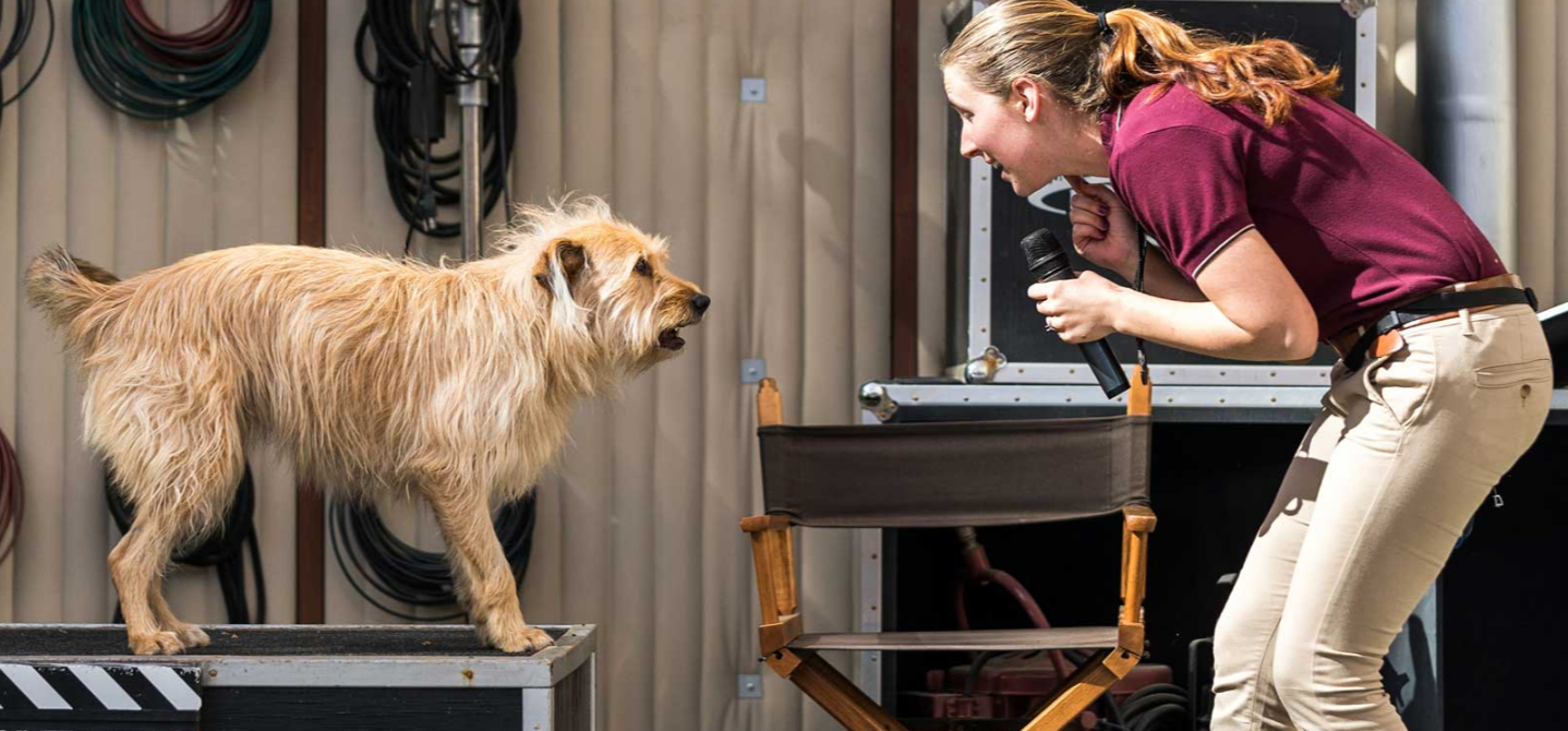 1608199465336568.png 1608199465336568.png