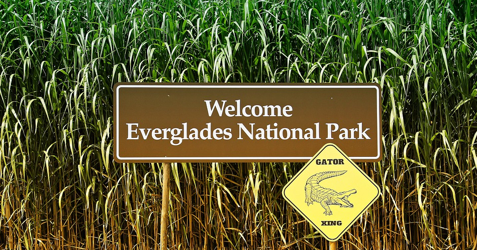 1609405607646956.png 1609405607646956.png