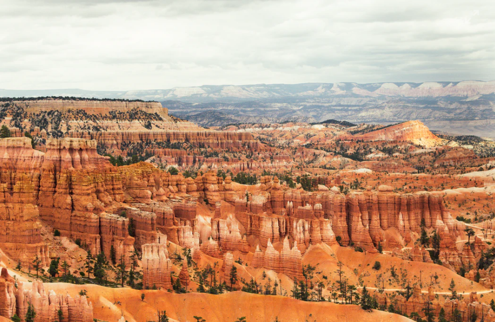 1609405767110385.png 1609405767110385.png