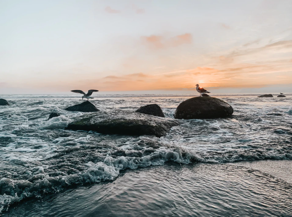 1609746579680993.png 1609746579680993.png