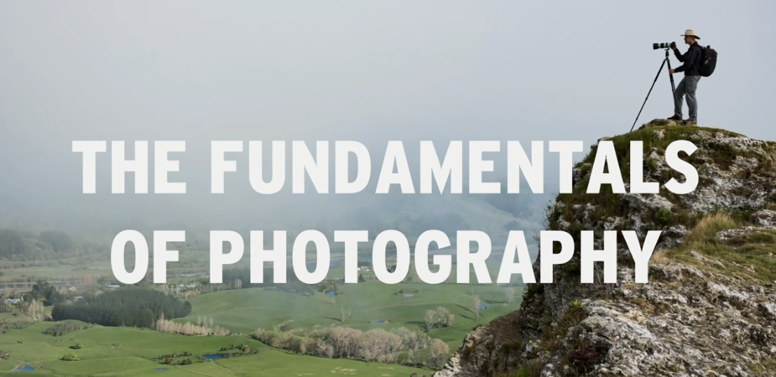 1640237462930366.png 1640237462930366.png