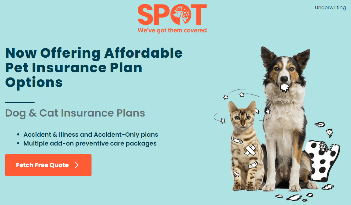 1611282529556924.png 1611282529556924.png