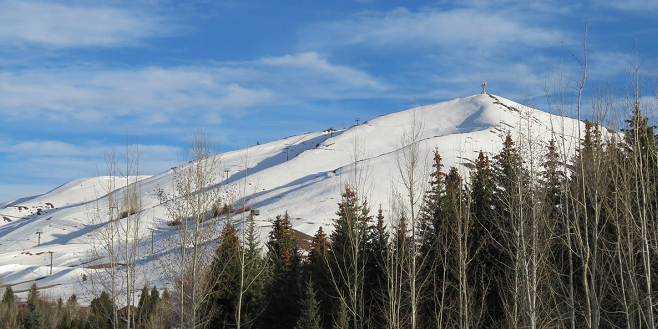 1645511373693774.png image.png