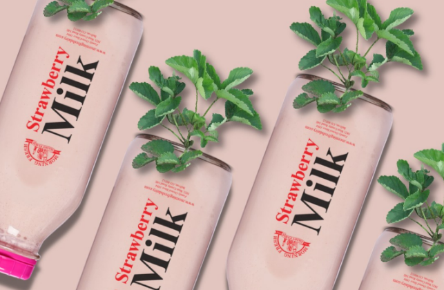 1647506650273760.png 1647506650273760.png