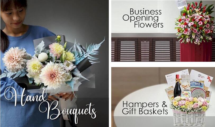 1640065687763204.jpg 1640065687763204.jpg