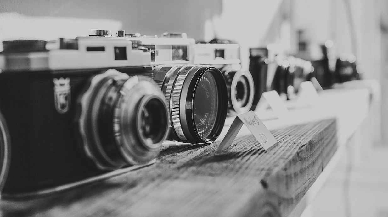 Sony A6000 vs. Canon M50 vs. Nikon D3500: Which Option is the Best?