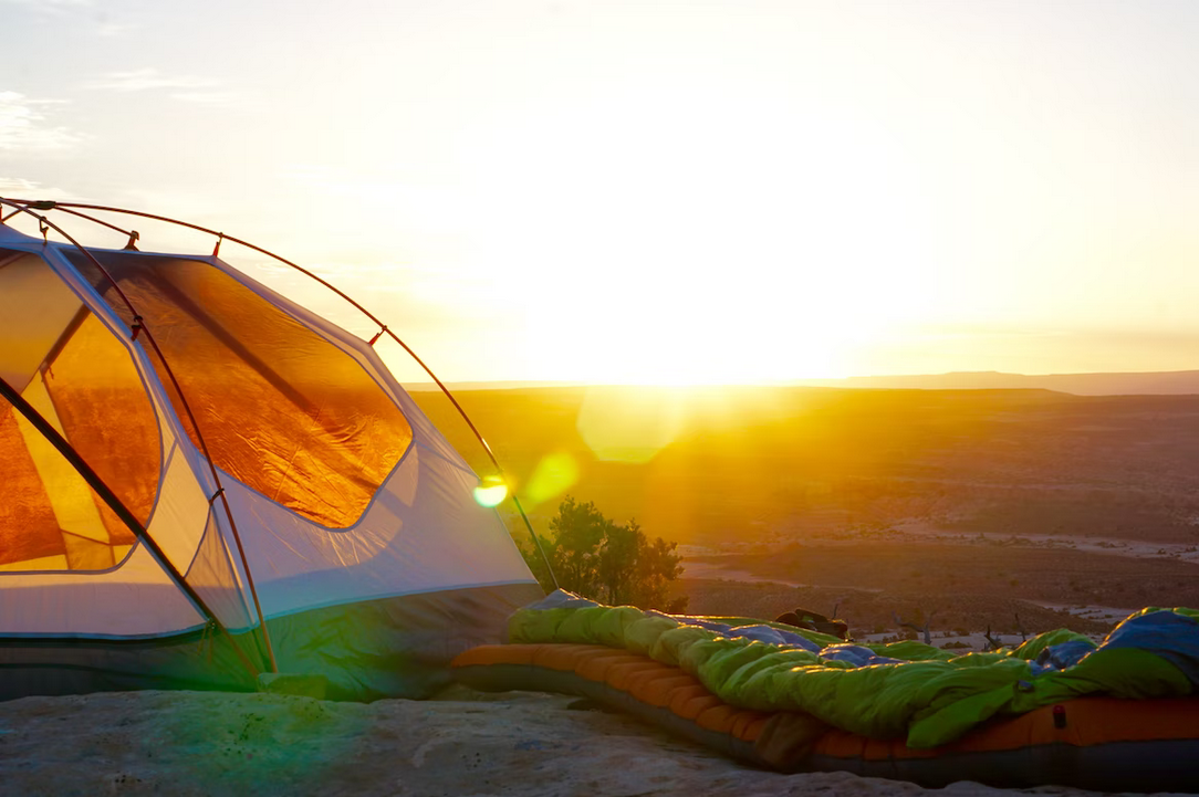 Coleman vs. REI vs. Gazelle vs. Ozark Trail: Which Brand Wins the Camping Tent Showdown?