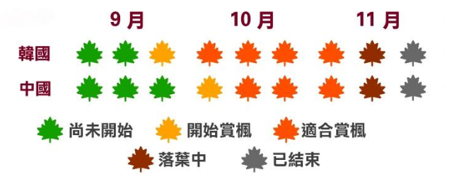 1599617014113227.png 1.png