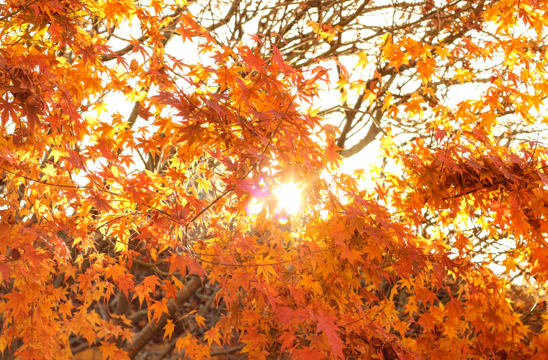 1599619673721617.png 1599619673721617.png