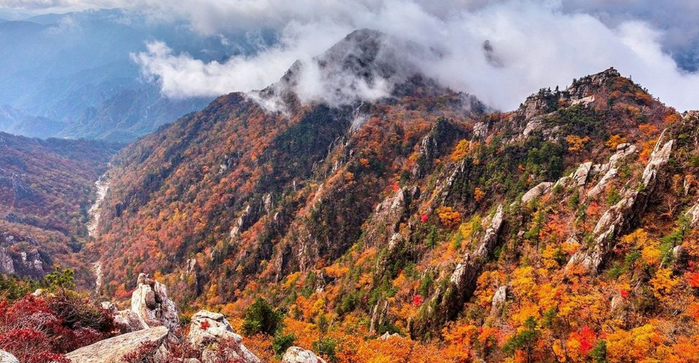 1599619323528970.png 1599619323528970.png