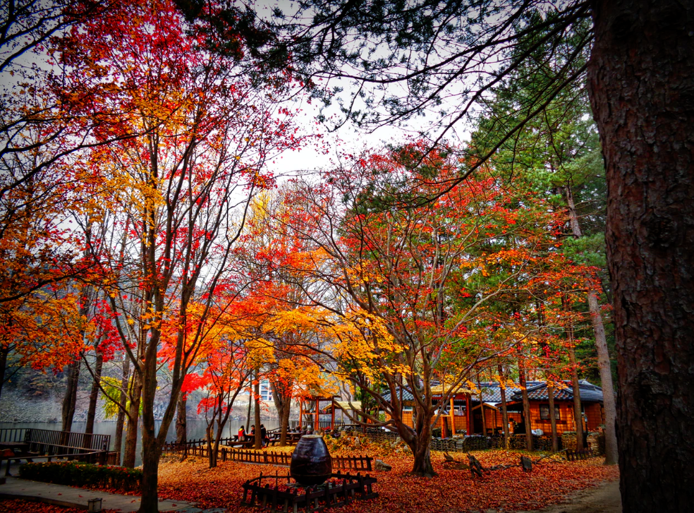 1599620244662654.png 1599620244662654.png