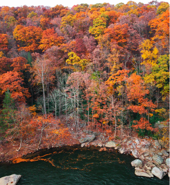 1599620521649860.png 1599620521649860.png