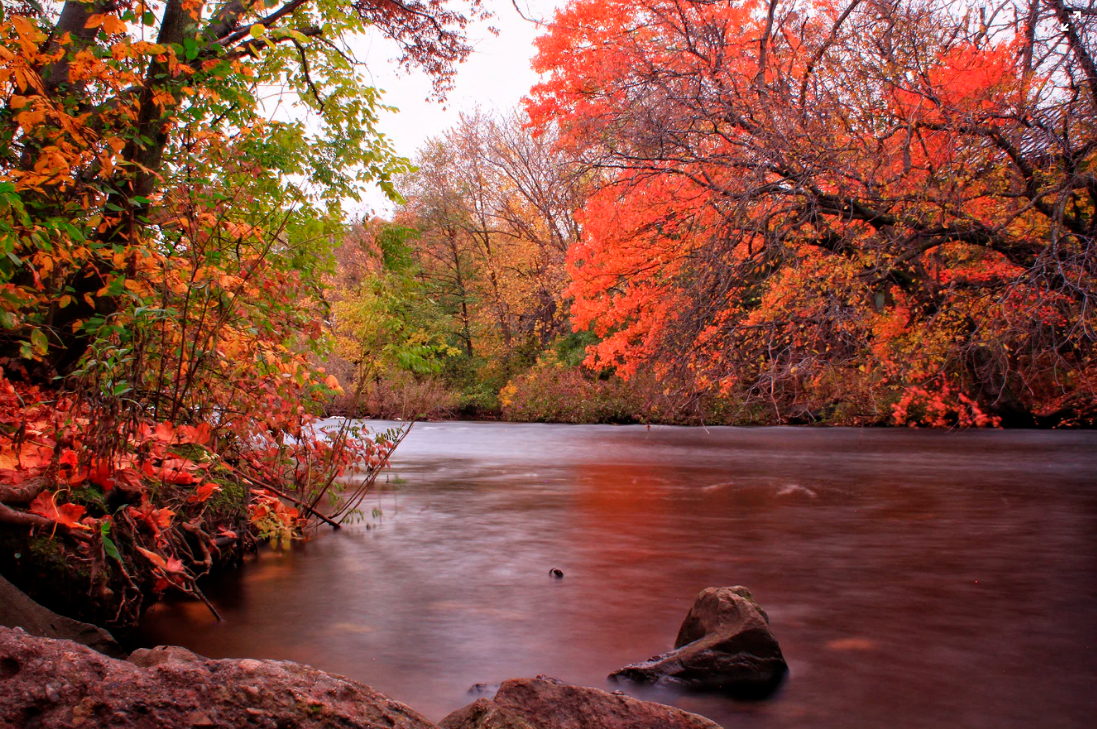 1599620042886074.png 1599620042886074.png