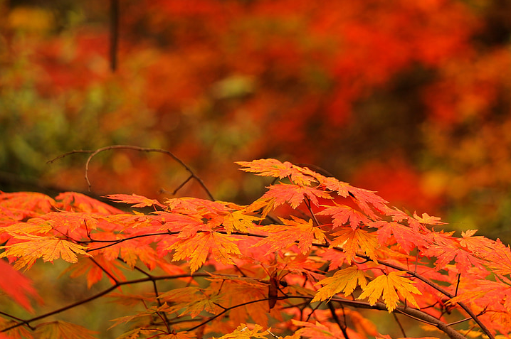 1599621312689545.png 6.png