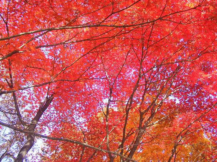 1599620573767920.png 1599620573767920.png