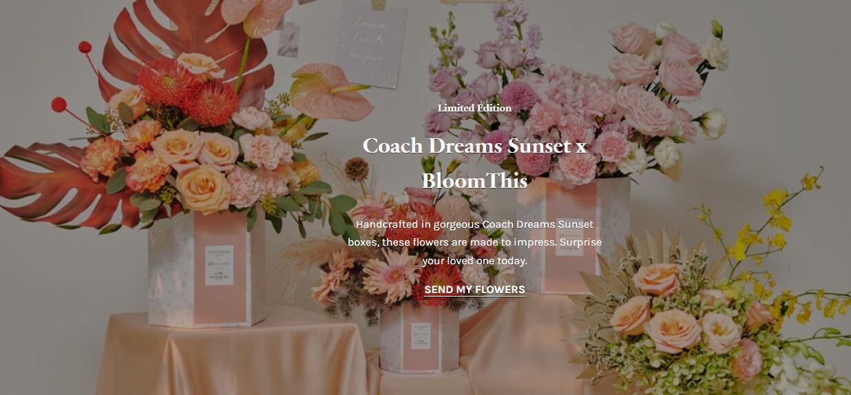 1641264177718860.jpg 1641264177718860.jpg