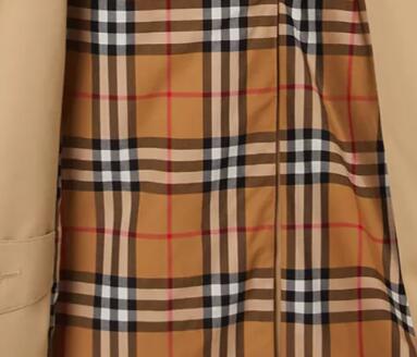 Burberry Trench Coat Fake vs Real Guide 2023: How can You Tell if It is Real?  - Extrabux
