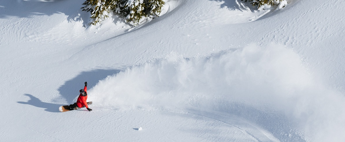 1609386399484168.png 1609386399484168.png