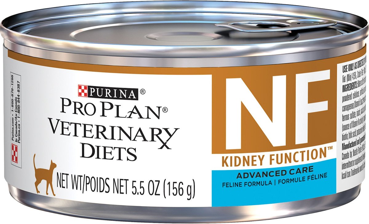 6 Best Alternatives to Hill's Prescription Diet K/D Kidney Care Cat