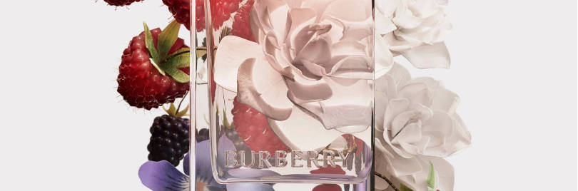 4 Best & Affordable Burberry Her Dupes: Comparison & Reviews 2024