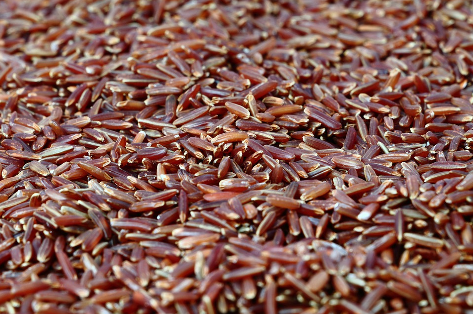 1608367758496545.png 1608367758496545.png