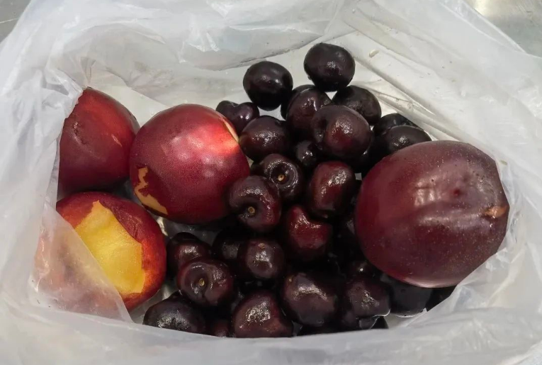 1677826678614840.png 1677826678614840.png