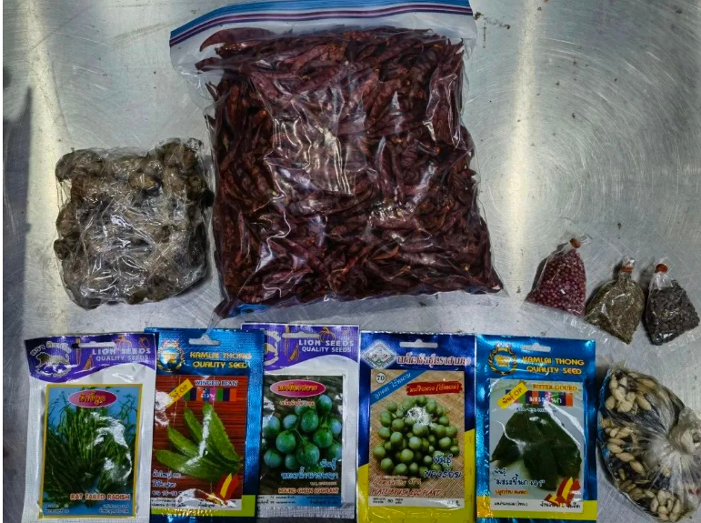 1677826705570472.png 1677826705570472.png