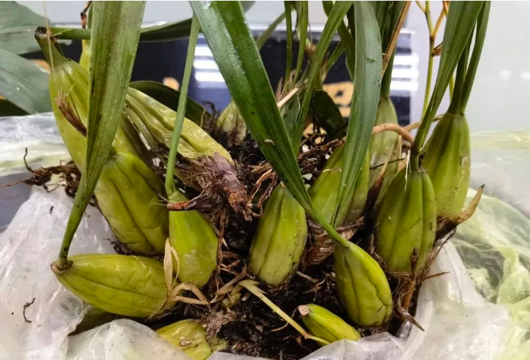 1677826729192209.png 1677826729192209.png