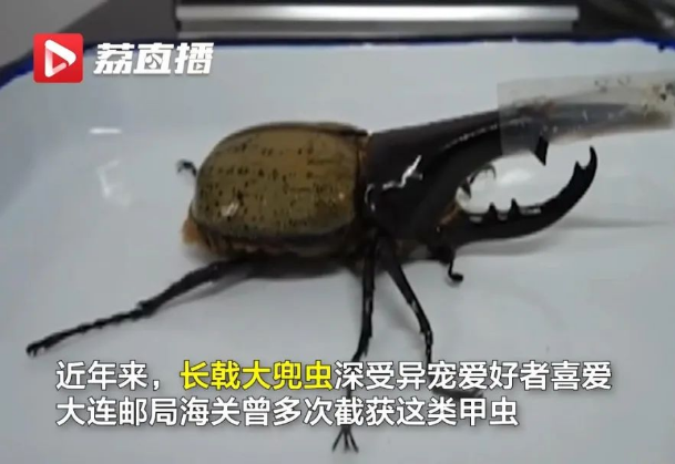 1677827960573166.png 1677827960573166.png