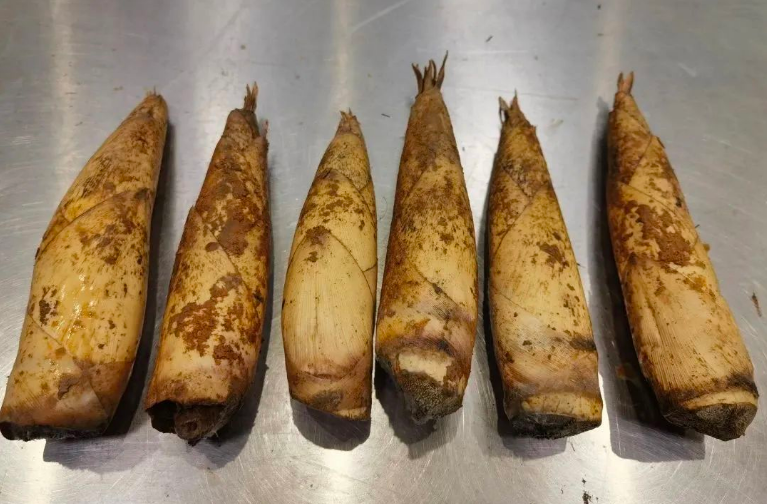 1677826757580067.png 1677826757580067.png