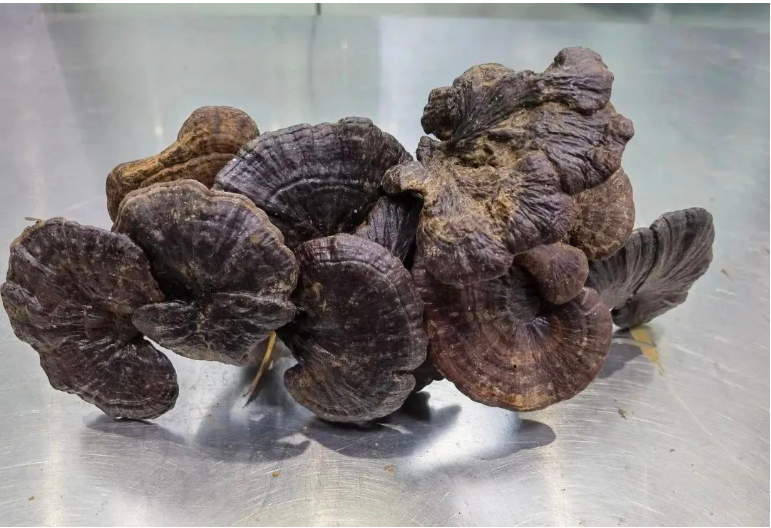 1677826781727482.png 1677826781727482.png