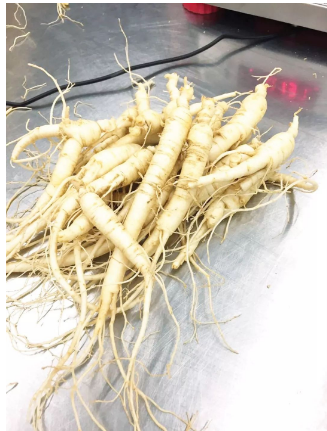 1677835177999887.png image.png