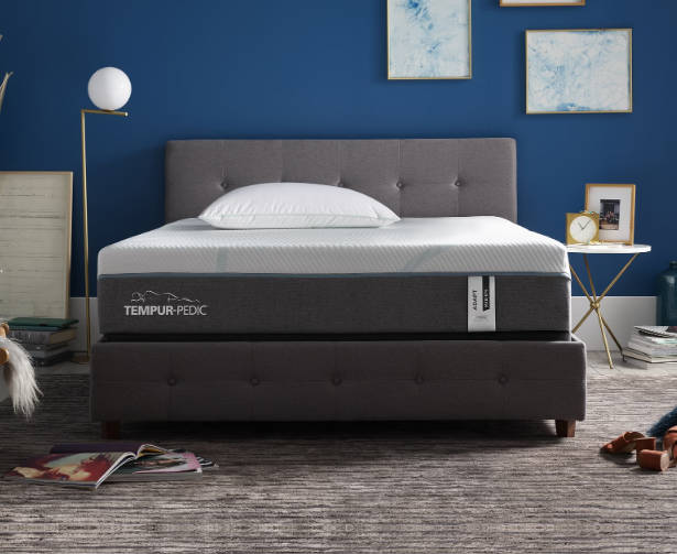 Tempur-Pedic Adapt vs. ProAdapt vs. LuxeAdapt: Differences and Reviews ...