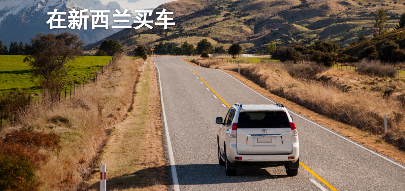 12个新西兰二手车买卖网站及Apps推荐（附二手车购买渠道+注意事项）- 买二手车必备！