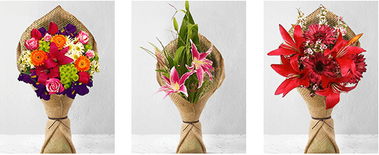 1684245320554179.png image.png