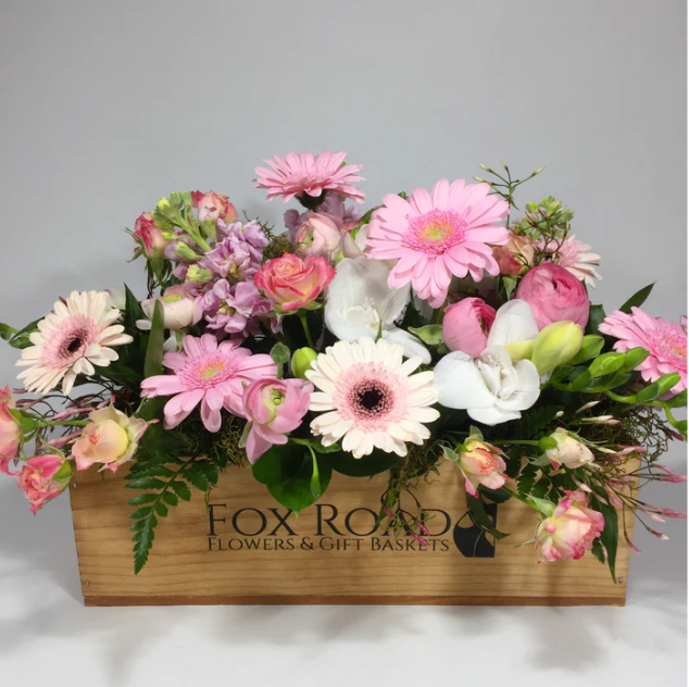 1684249851804024.png 1684249851804024.png