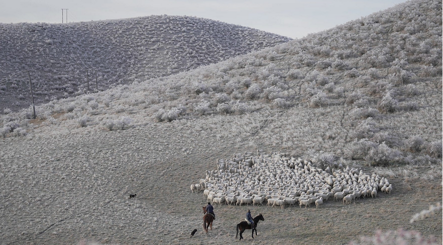 1684982169654723.png 2.png